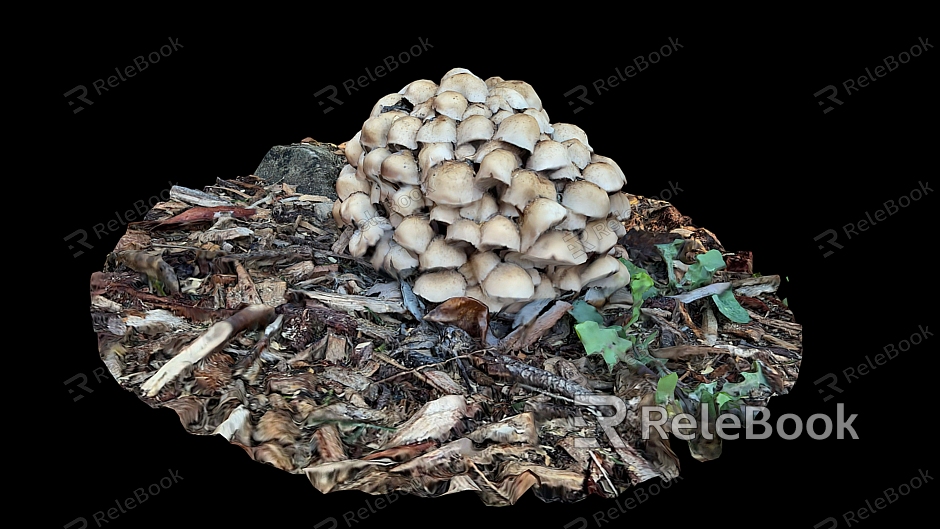 Mushroom plants model