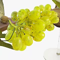 Delicious Food Platter With Bread Grapes White Wine And Blue Cheese