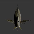 Striped Silver White Fish With Yellow Fins On Dark Background And Reflection
