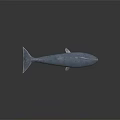 Detailed Blue Whale Figure Displayed on Dark Background with Clear Reflection 3d model
