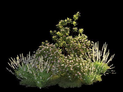 Diverse Garden Shrubs Featuring Green Foliage And White Blossoms In Landscaping Design 3d model
