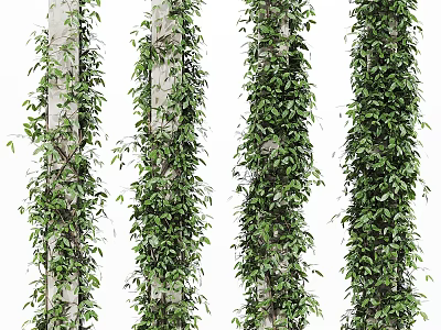 Lush Green Climbing Vines Covering Garden Pillars For Decorative Landscaping 3d model