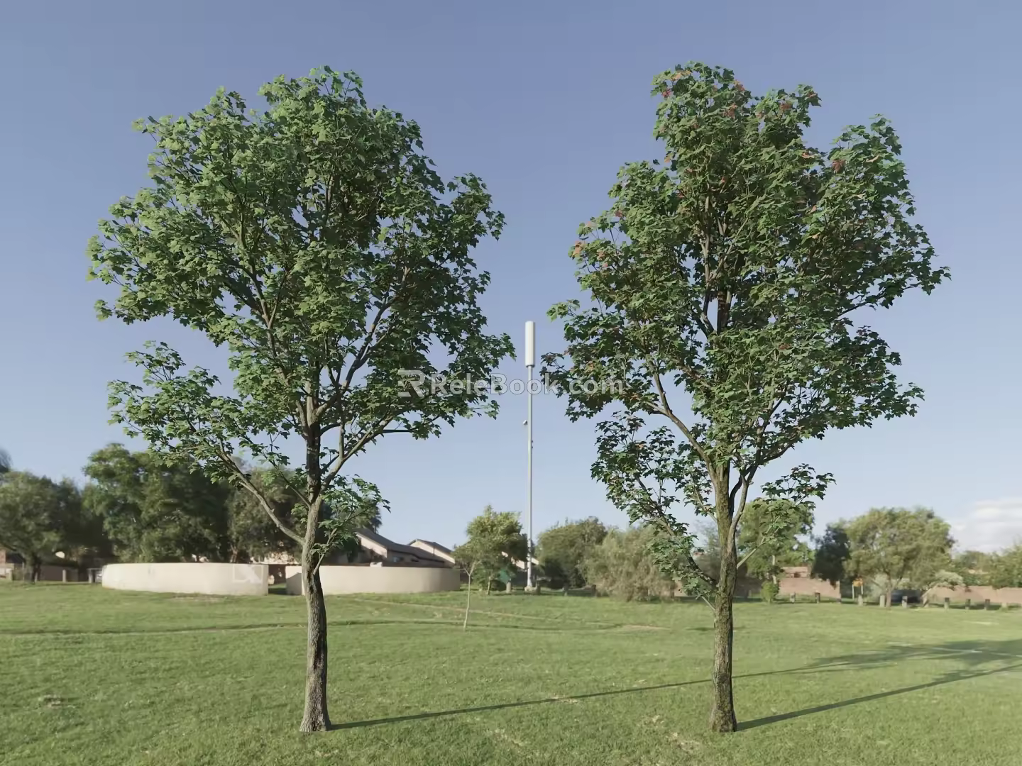 Trees Big Trees Landscape Trees Park Trees Street Trees 3d model
