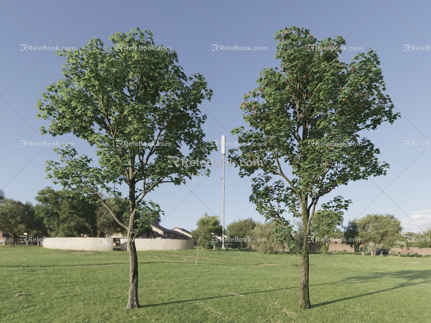 Trees Big Trees Landscape Trees Park Trees Street Trees model