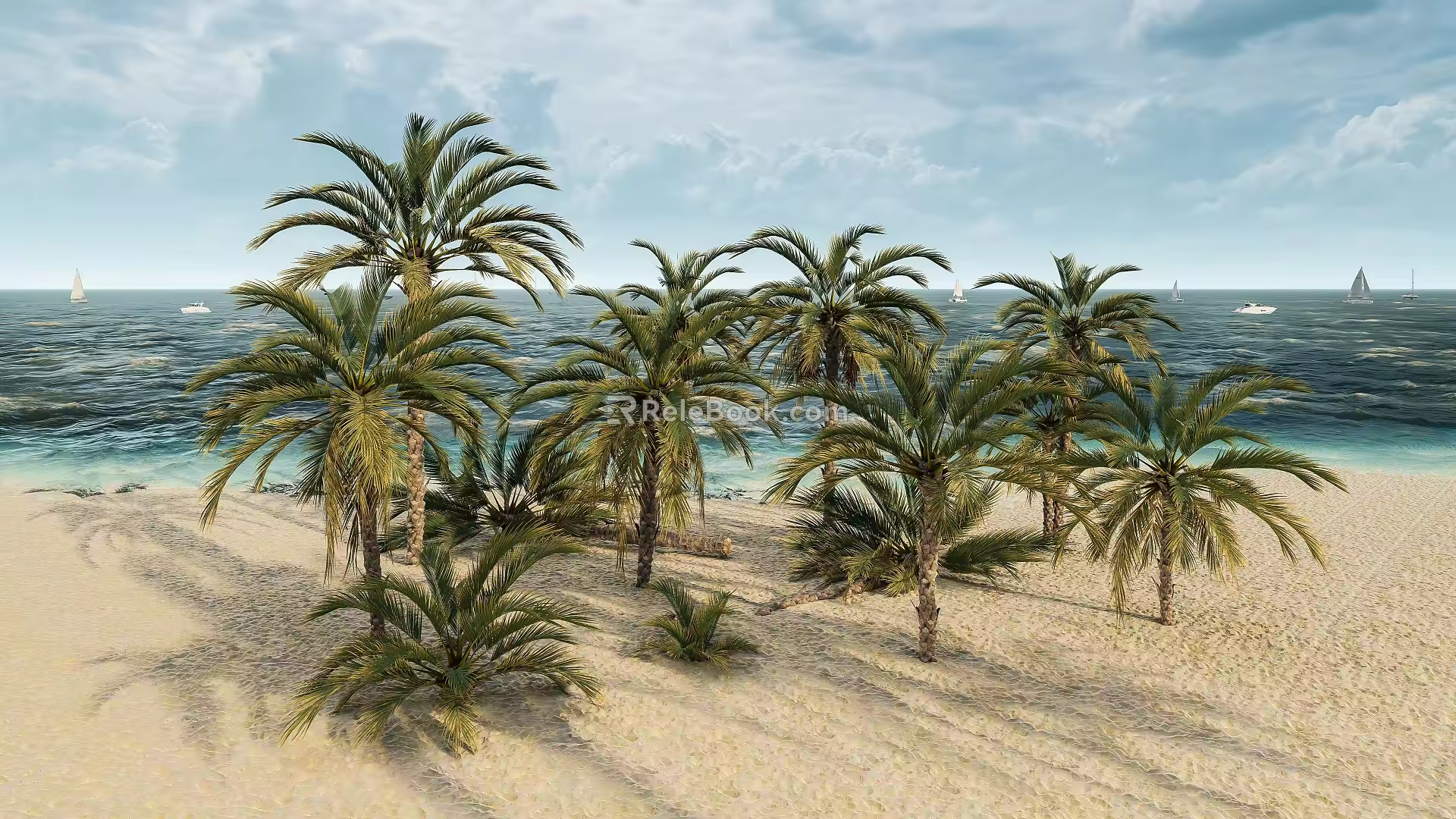 Modern Date Palm Tropical Date Palm 3d model