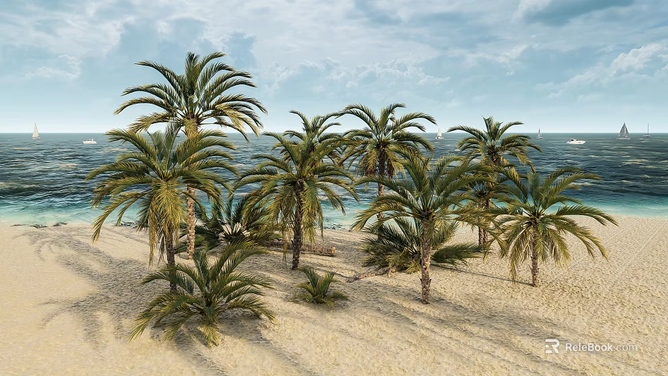 Tall Palm Trees Standing On Sandy Beach By The Blue Sea And Sky 3d model 