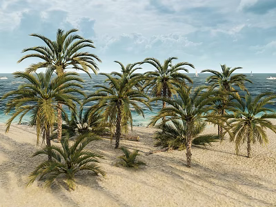 Modern Date Palm Tropical Date Palm 3d model