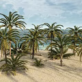 Modern Date Palm Tropical Date Palm 3d model