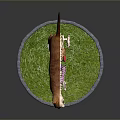 Detailed Cat Anatomy Model Showing Skeleton Internal Organs on Green Grass Base