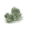 Lush Green Leafy Vines Covering Wall With Fresh Foliage And Twisted Stems