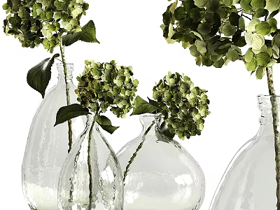 Clear Glass Vases With Fresh Green Hydrangea Flowers For Home Decor 3d model