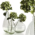 Clear Glass Vases With Fresh Green Hydrangea Flowers For Home Decor