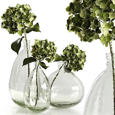 Clear Glass Vases With Fresh Green Hydrangea Flowers For Home Decor 3d model