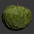 Custard Apple With Green Textured Skin And Small Stem On Dark Background 3d model