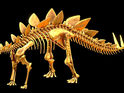 Golden Dinosaur Skeletal Organ Structure With Detailed Bone Features On Black Background 3d model