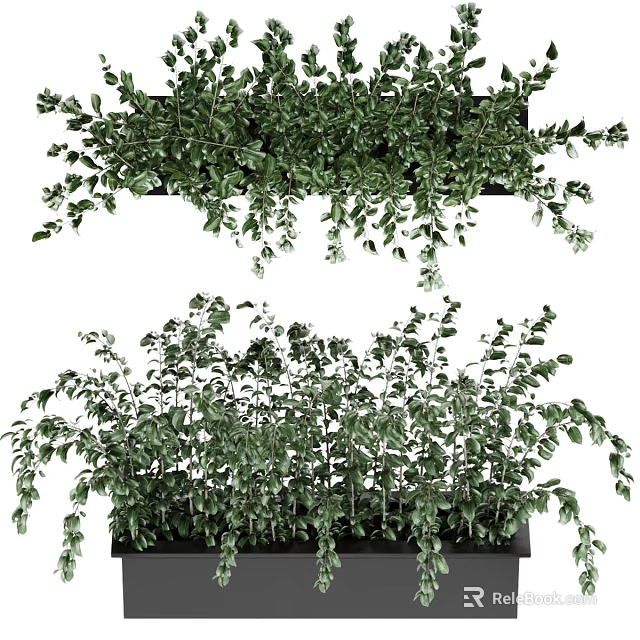 Potted Bonsai Plants With Lush Green Hanging Leaves For Indoor Decor 3d model 