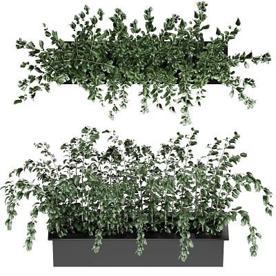 Potted Bonsai Plants With Lush Green Hanging Leaves For Indoor Decor 3d model