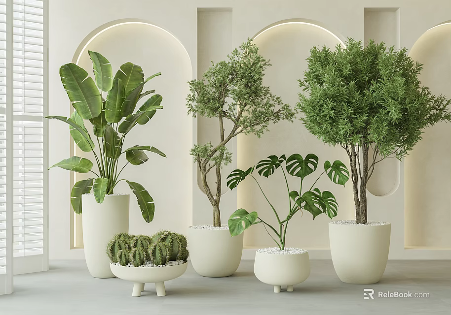 Indoor Bonsai Plants in White Pots with Various Green Species Minimalist Interior and Arch Wall 3d model 
