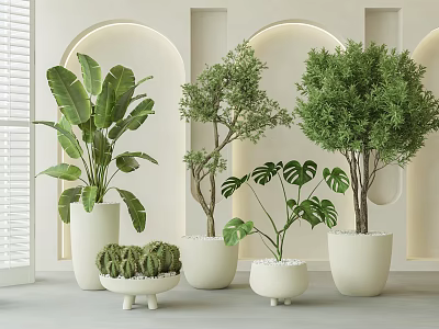 Indoor Bonsai Plants in White Pots with Various Green Species Minimalist Interior and Arch Wall 3d model