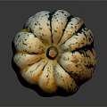 Colorful Striped Spotted Pumpkin With Yellow Orange Black Green Hues On Black Background With Reflection