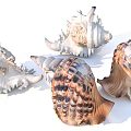 Dafa snail octagonal snail 3d model