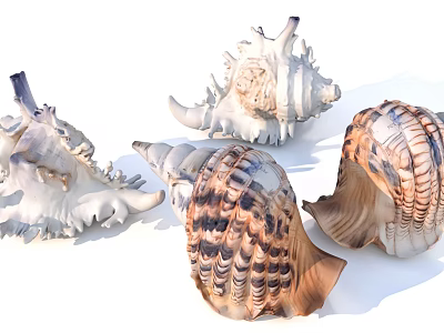 Aquatic Animals Various Seashell Types With Spiky Conical Shapes And Brown White Stripes 3d model