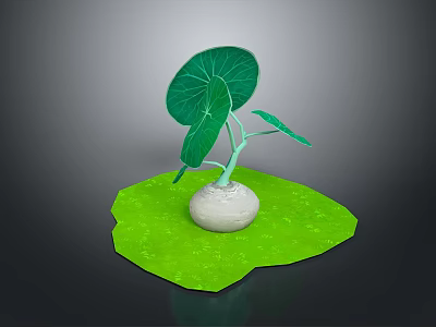 Green Plant With Large Green Leaves And White Bulbous Root On Green Leaf Base 3d model
