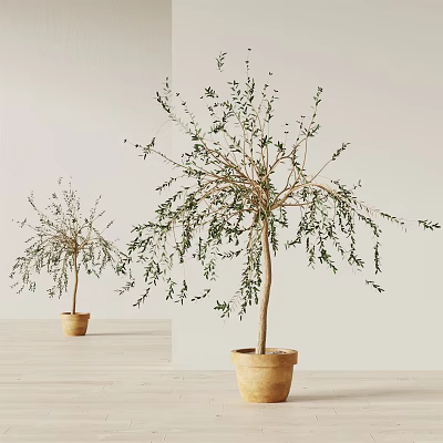 Modern potted plant potted ornaments 3d model