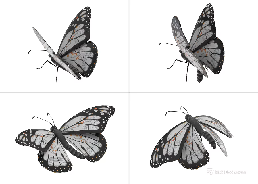Realistic Butterfly Illustrations With Detailed Black And White Wings From Multiple Angles 3d model