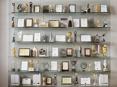Multi Tier Display Cabinet Shelves Holding Trophies Medals Certificates And Awards 3d model