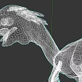 Realistic Reptile 3D Model With Colorful Head Long Neck And Feathered Features