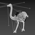 Detailed Gray Feathered Ostrich With Long Neck Standing Against Black Background