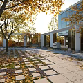 Courtyard Garden With Autumn Trees Stone Slab Path Fallen Leaves And Modern Glass Building
