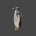 Flying Animal Penguin with Yellow Beak Black and White Feathers Spread Wings in Gray Background