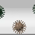 Anatomical Structure Of Human Organs And Hair Follicles In Medical Illustration