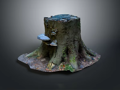 Natural Tree Stump Scene With Mushrooms Moss And Fallen Leaves Around Roots 3d model