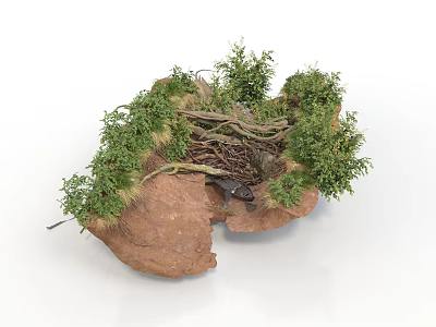 Modern Natural Landscape Decor with Brown Rock Green Plants and Twisted Tree Roots 3d model
