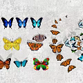 Modern Butterfly 3d model