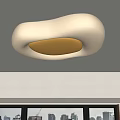 Special-shaped ceiling lamp Ceiling lamp 3d model