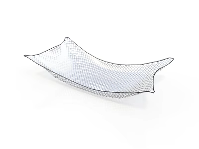 Stylish Wire Mesh Tray with Curved Shape for Home Organizing Use 3d model