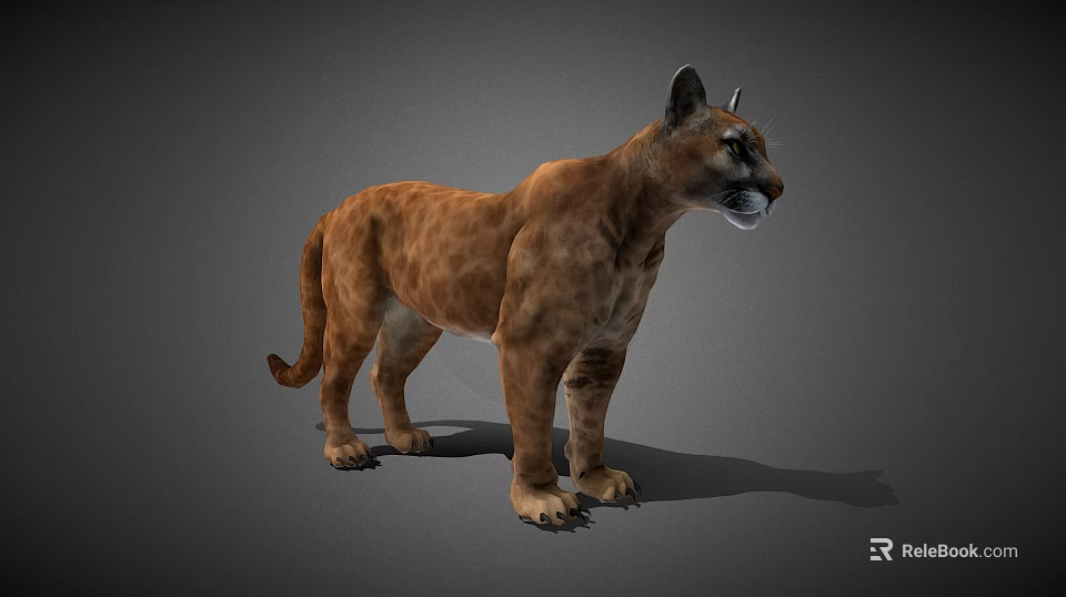 3D Modeled Puma With Brown Fur In Standing Pose On Gray Background 3d model 