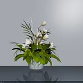 White Flowers in Transparent Vase with Green Leaves on Gray Countertop and Light Gray Wall