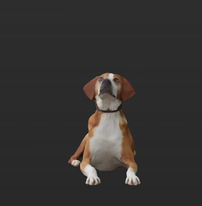Modern Dog Dog Puppy 3d model
