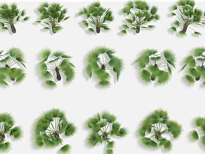 Various Types Of Green Leafy Arbor Trees With Different Foliage Forms On White Background 3d model