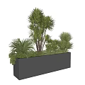 Multiple Green Bonsai Potted Plants In Rectangular Black Planter For Indoor Decoration 3d model