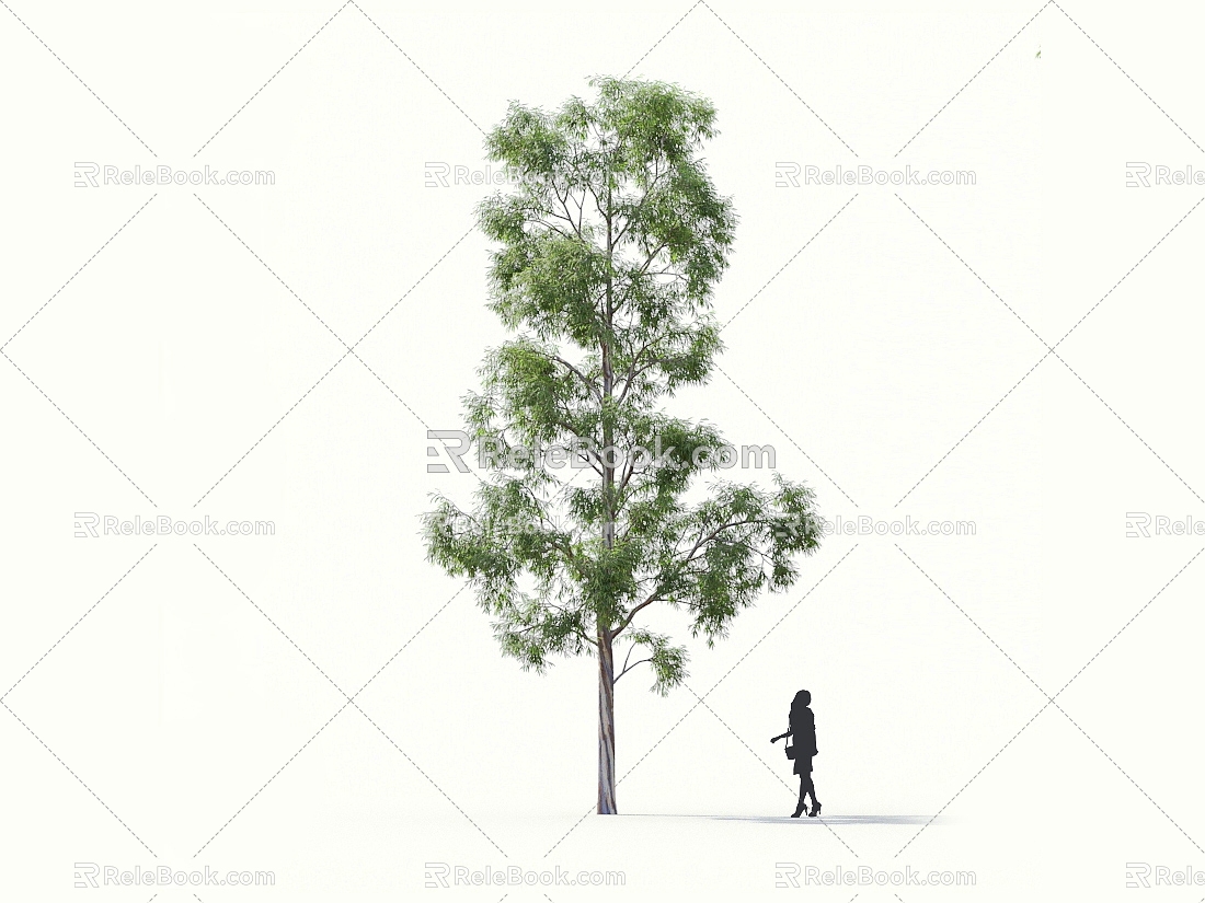 Blue eucalyptus grass fruit ash willow jade tree oil tree myrtle landscape tree forest big tree small tree spring tree summer tree autumn tree bodhi 3d model