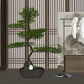 Lush Bonsai Tree With Curved Trunk In Gray Pot Stones And Indoor Wooden Lattice