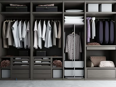 Modern Wardrobe Interior With Hanging Clothes Folded Clothes Drawers And Storage Boxes 3d model