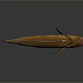 Yellow And Brown Striped Aquatic Fish With Elongated Body And Fins On Dark Surface