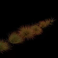 Various Natural Ornamental Grasses In Different Heights And Green Brown Tones